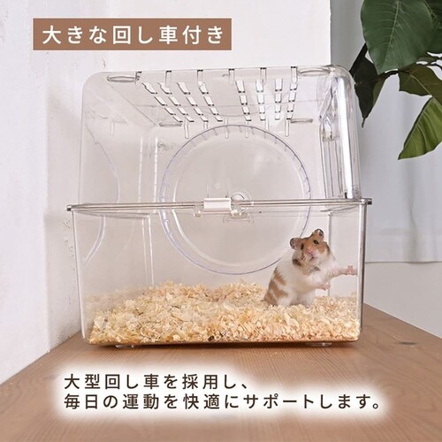 �������P�[�W 1011199025 _10