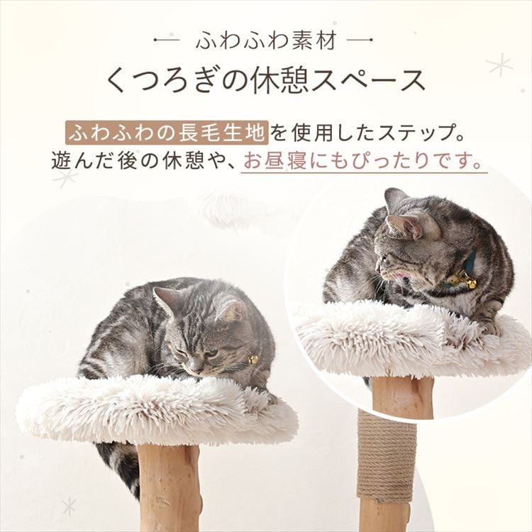 キャットタワー 流木 1791106008 7339652│アイリスオーヤマ公式通販