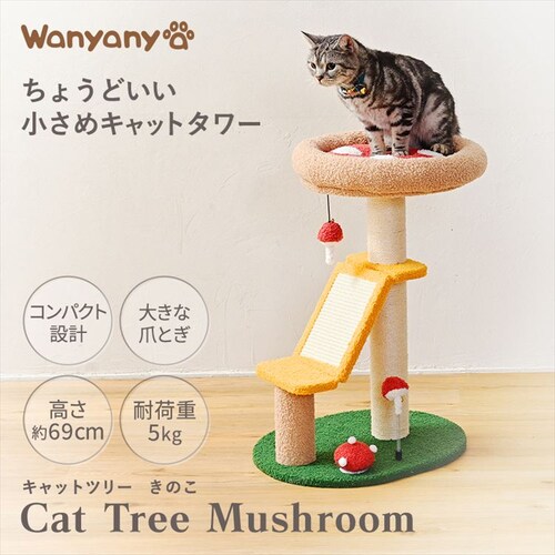 �L���b�g�^���[ �L�m�R 1791106009 _2