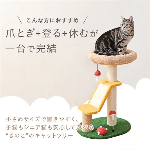 �L���b�g�^���[ �L�m�R 1791106009 _3