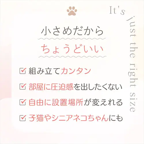 �L���b�g�^���[ �L�m�R 1791106009 _4