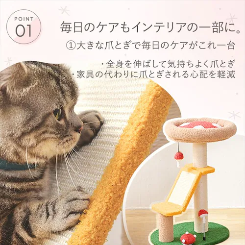 �L���b�g�^���[ �L�m�R 1791106009 _5