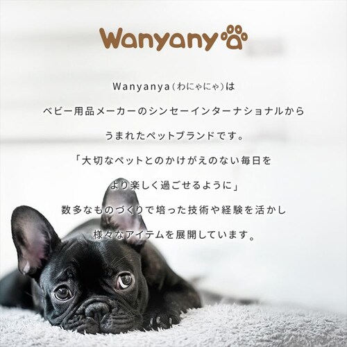 �L���b�g�^���[ �L�m�R 1791106009 _15