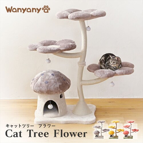 �L���b�g�^���[ �t�����[ 1791106007 �C�G���[_2