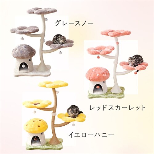 �L���b�g�^���[ �t�����[ 1791106007 �C�G���[_3