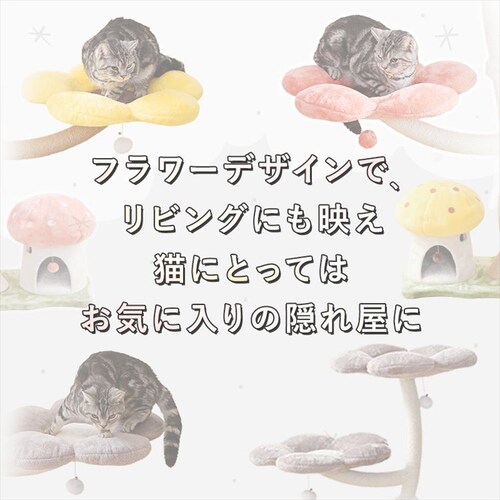 �L���b�g�^���[ �t�����[ 1791106007 �C�G���[_5