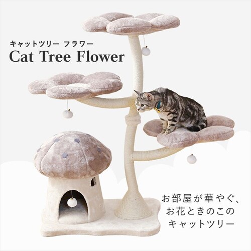 �L���b�g�^���[ �t�����[ 1791106007 �C�G���[_6