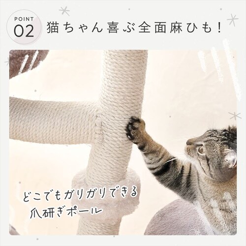 �L���b�g�^���[ �t�����[ 1791106007 �C�G���[_8