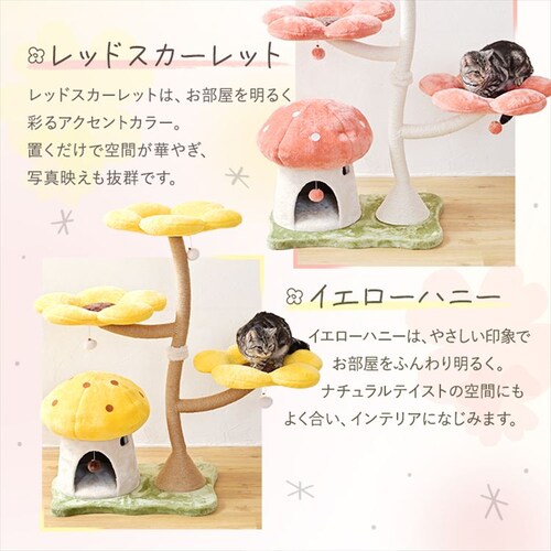 �L���b�g�^���[ �t�����[ 1791106007 �C�G���[_13