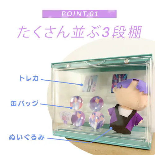 不二貿易 コレクションケース hina 29028 イエローマリーゴールド【プラザセレクト】_3