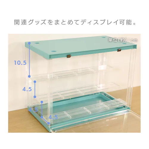 不二貿易 コレクションケース hina 29028 イエローマリーゴールド【プラザセレクト】_4