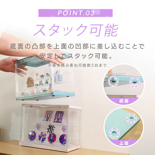 不二貿易 コレクションケース hina 29028 イエローマリーゴールド【プラザセレクト】_6