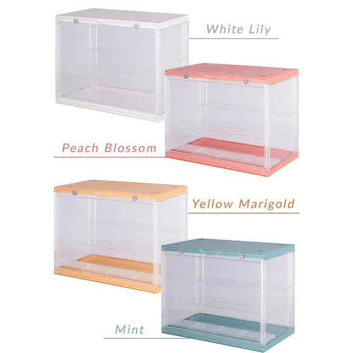 不二貿易 コレクションケース hina 29028 イエローマリーゴールド【プラザセレクト】_7