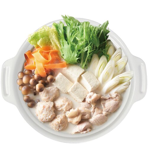 LIV PLUS �r�X�g���E�Z���~�b�N���� 24cm �K���X�W�t �O���[ NQ-0413 �y�v���U�Z���N�g�z_3