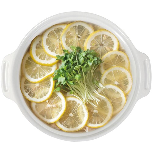 LIV PLUS �r�X�g���E�Z���~�b�N���� 28cm �K���X�W�t �O���[ NQ-0415 �y�v���U�Z���N�g�z_2