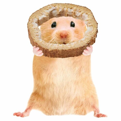 minimal LAND ミニマル工房 ひまわりスライス 25g ML-682 【プラザセレクト】_4