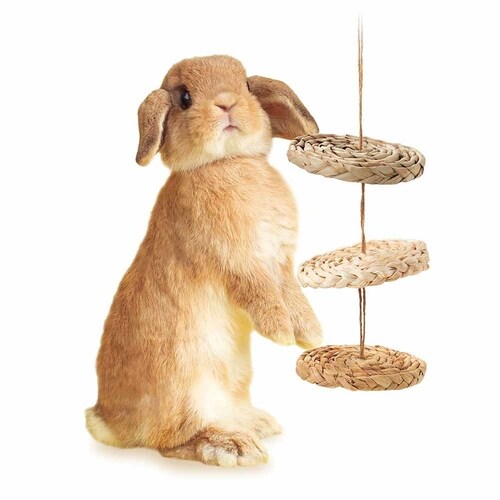 minimal LAND �~�j�}���H�[ �o���G�e�B�f�B�X�N ML-683 �y�v���U�Z���N�g�z_3