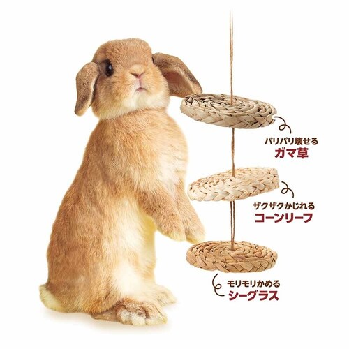 minimal LAND �~�j�}���H�[ �o���G�e�B�f�B�X�N ML-683 �y�v���U�Z���N�g�z_4