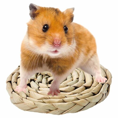 minimal LAND �~�j�}���H�[ �o���G�e�B�f�B�X�N ML-683 �y�v���U�Z���N�g�z_5