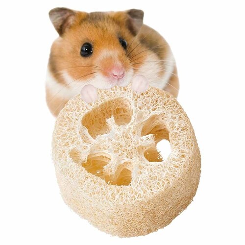 minimal LAND ミニマル工房 ヘチマトイ ショート1個+おまけ1個 ML-685 【プラザセレクト】_4