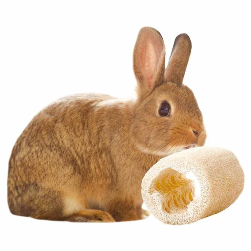 minimal LAND ミニマル工房 ヘチマトイ ロング1個+おまけ1個 ML-686 _5