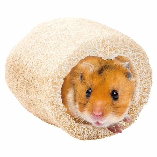 minimal LAND ミニマル工房 ヘチマトイ ロング1個+おまけ1個 ML-686 _6