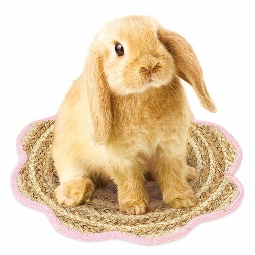 minimal LAND ���r�b�g�J�[�j�o�� �t�����[�}�b�g ML-661 �y�v���U�Z���N�g�z_3