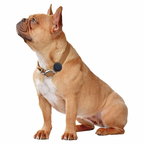 NAKURAM ナクラム スマート迷子タグセット DC-581 _4