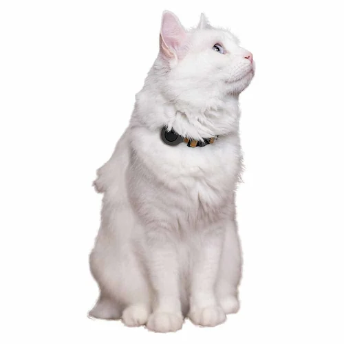 NAKURAM ナクラム スマート迷子タグセット DC-581 _5