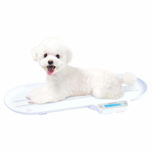 GONTA CLUB �������T���� �y�b�g�p�̏d�v DA-484 �y�v���U�Z���N�g�z_5