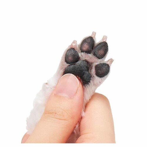 �������T���� �������T���� �O���[�~���O�N���[�i�[�X�e�B�b�N DA-528 �y�v���U�Z���N�g�z_5