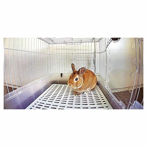 minimal LAND �����p�J���� ML-668 �y�v���U�Z���N�g�z_7