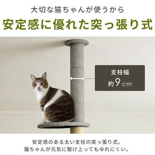 KIRA �A�[�����t�g5�i�˂�����|�[���^���[ YS133283_6