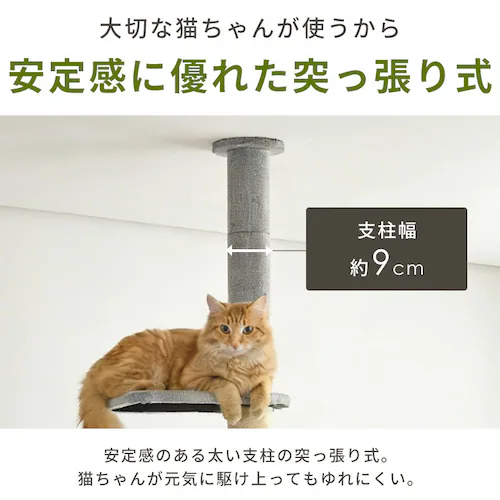 KIRA �K�i�t���˂�����|�[���^���[ YS133282_6