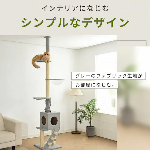 KIRA �K�i�t���˂�����|�[���^���[ YS133282_8