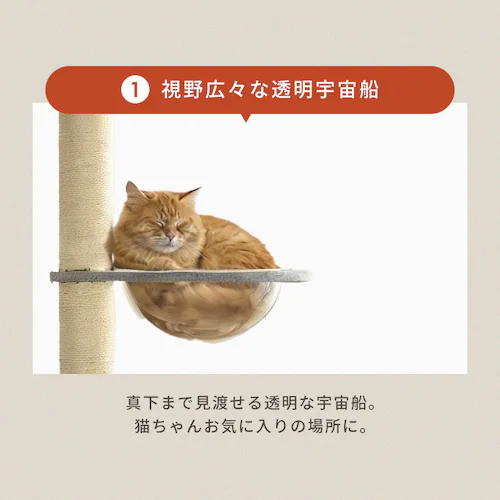 KIRA �K�i�t���˂�����|�[���^���[ YS133282_11