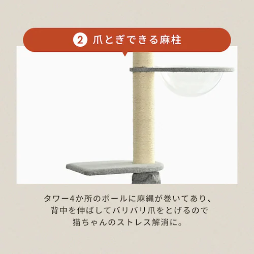 KIRA �K�i�t���˂�����|�[���^���[ YS133282_12