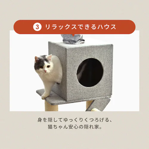 KIRA �K�i�t���˂�����|�[���^���[ YS133282_13