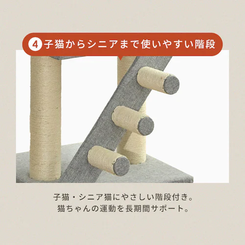 KIRA �K�i�t���˂�����|�[���^���[ YS133282_14