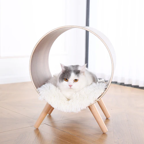 トンネル型キャットチェア マット付 YS133192 KIRA_4