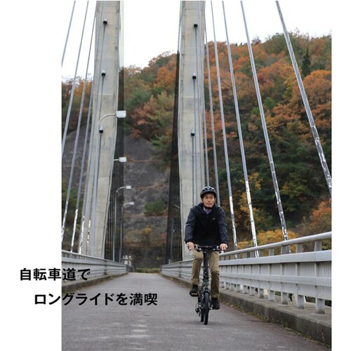 �g�����X���o�C���[ HARRY QUINN Liverpool163E_8