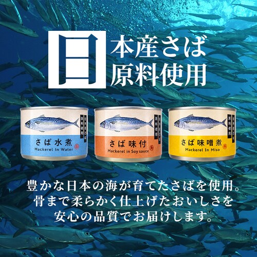 �^�C�����h�t�B�b�V�����[�W���p�� �y48�ʁz ���Ί� 150g 3��Z�b�g_2