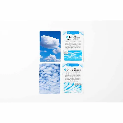 ���V�C�悻���J�[�h ������ 479257 _6