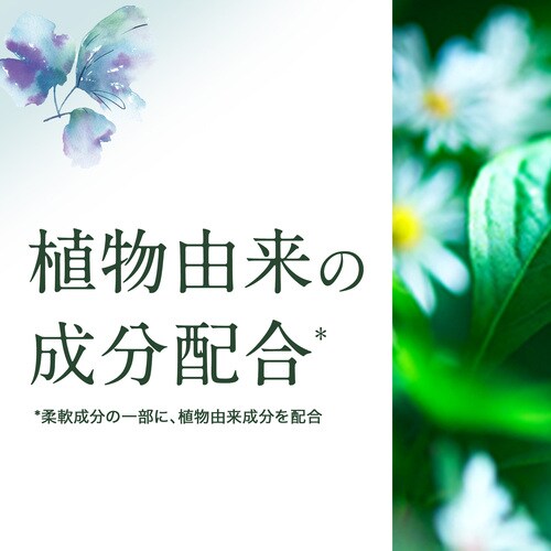 ���炳�y9�Z�b�g�z��l�̂��炳 ������ �W�F�� �z���C�g�e�B�[���t���[�����̍��� �{�� 600g _3