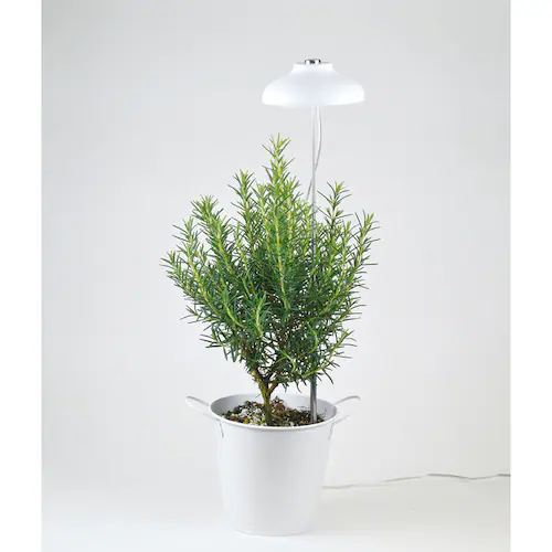 �A���琬���C�g �������ݎ� 250lm TT-YG01NA1A-W �y�v���U�Z���N�g�z_5