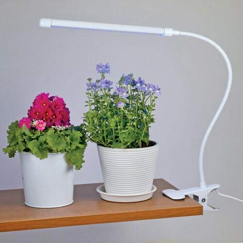 �A���琬���C�g �N���b�v�� 60lm TT-YG01N2A-W _6