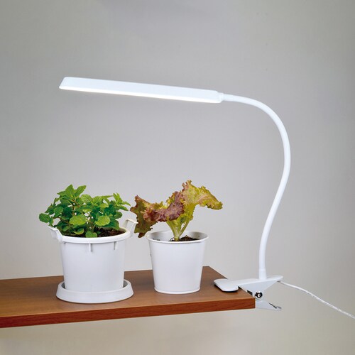 �A���琬���C�g �N���b�v�� 420lm TT-YG03N1A-W �y�v���U�Z���N�g�z_3