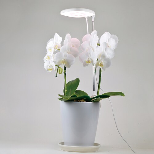 �A���琬���C�g �v�����^�[�N���b�v�� 270lm TT-YG02NA1A-W �y�v���U�Z���N�g�z_4