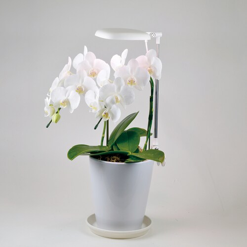 �A���琬���C�g �v�����^�[�N���b�v�� 270lm TT-YG02NA1A-W �y�v���U�Z���N�g�z_5