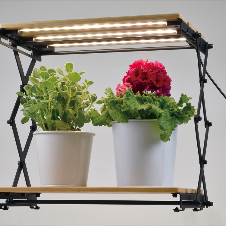 植物育成ライト 折り畳み式?660lm TT-YG05N1A-M 7340801│アイリス
